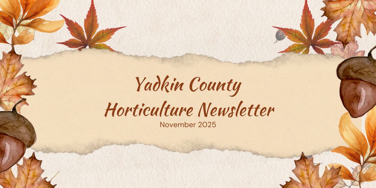 Yadkin County Horticulture Newsletter-November