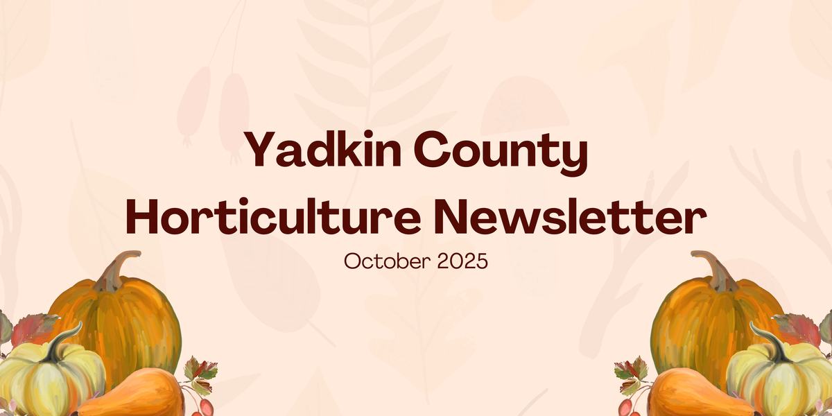 October Newsletter