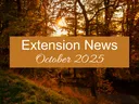 October 2025 Newsletter