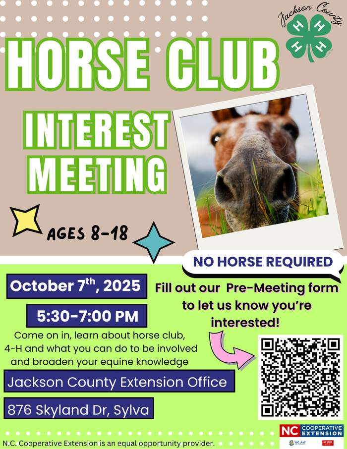 Poster for Horse Club Interest