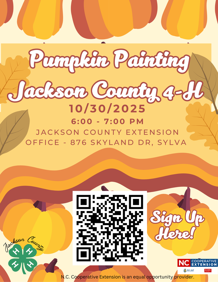 Poster for Pumpkin Painting 