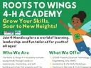 R2Wings Flyer