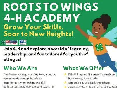 R2Wings Flyer