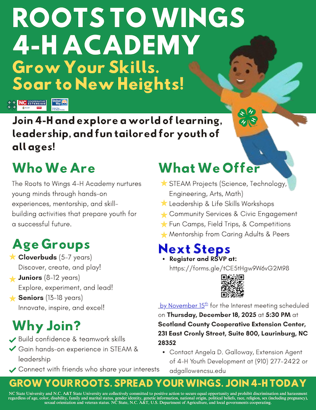 R2Wings Flyer