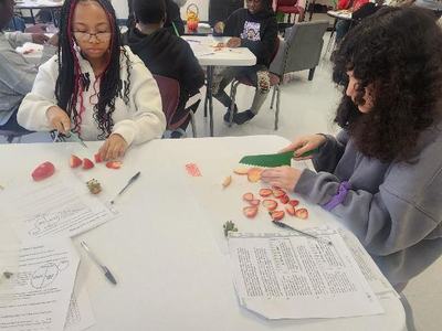 Students practicing knife-cutting skills