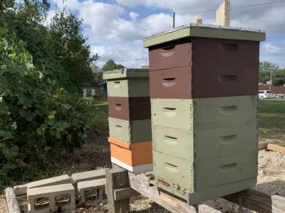 beehive