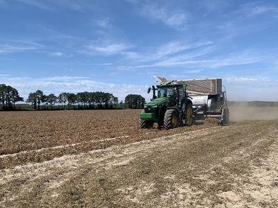 peanut harvesting