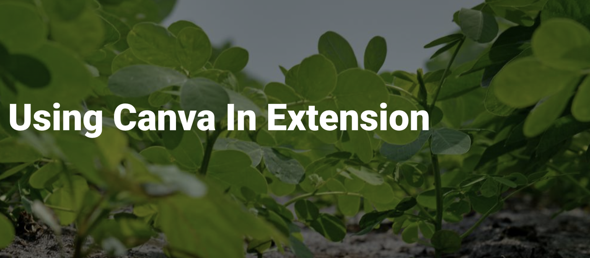 Using Canva in Extension Training Course