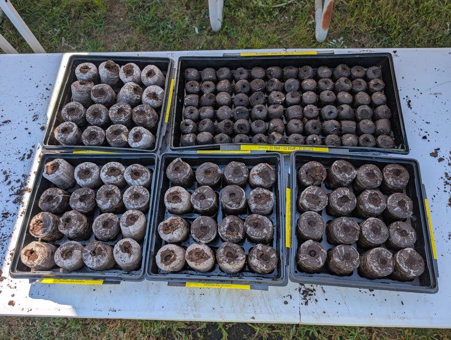 Seed starting_Photo by Amanda Bratcher