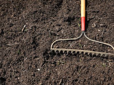 Freshly tilled soil with a rake.