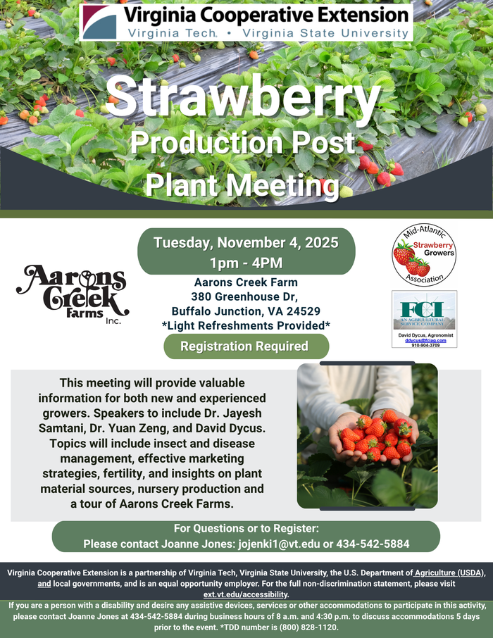 strawberry post-plant meeting flyer