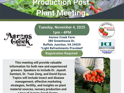 strawberry post-plant meeting flyer