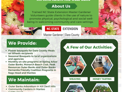 Therapeutic Horticulture flyer: Connecting people with plants to improve health and well-being