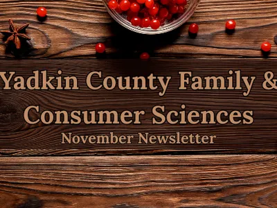 FCS Newsletter banner