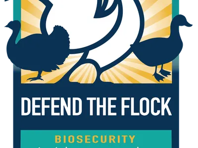 Silhouette of turkey, chicken, and duck with words Defend the Flock overlaid