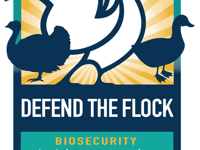 Silhouette of turkey, chicken, and duck with words Defend the Flock overlaid