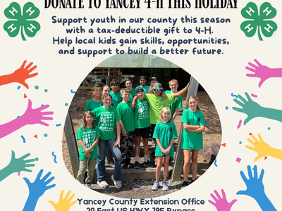 Donate to Yancey 4-H This Holiday