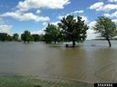 River water rising over its banks, completely submerging nearby trees and grassy areas along the river edge.