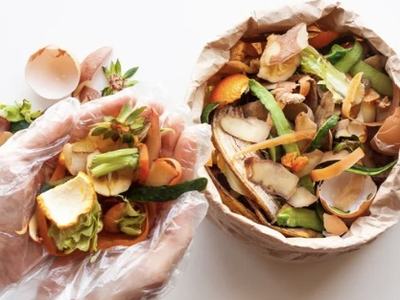 Food Waste going to compost bowl