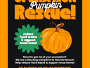 pumpkin donation flyer