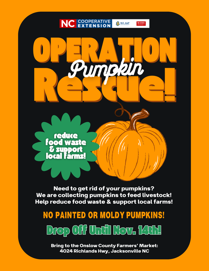 Operation Pumpkin Rescue Flyer