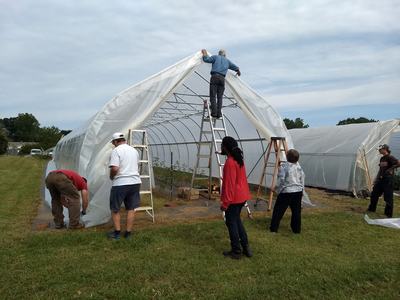 Group installing plastic cover on hoop greenhouse, one person standing on top of a ladder