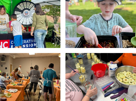 shots from summer programs