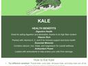 Kale Harvest of the Month info.Recipe Kale Chips