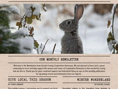 cover page of December 2025 Newsletter