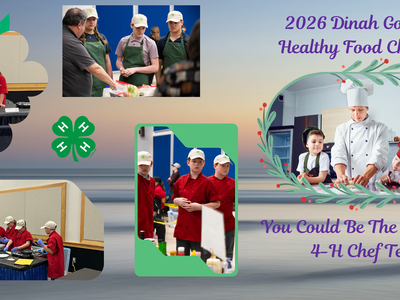 2026 Dinah Gore 4-H Healthy Food Challenge. You Could be the Next Best 4-H Chef Team
