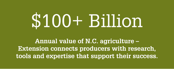 NC State Extension supports the $100+ billion North Carolina agriculture and agribusiness industry.