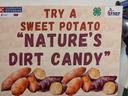 A sign reading "Try a Sweet Potato 'Natures Dirt Candy'"