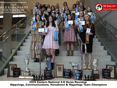 4‑H youth on stairs holding ribbons and plaques; text: "2025 Eastern National 4‑H Horse Roundup Champions"