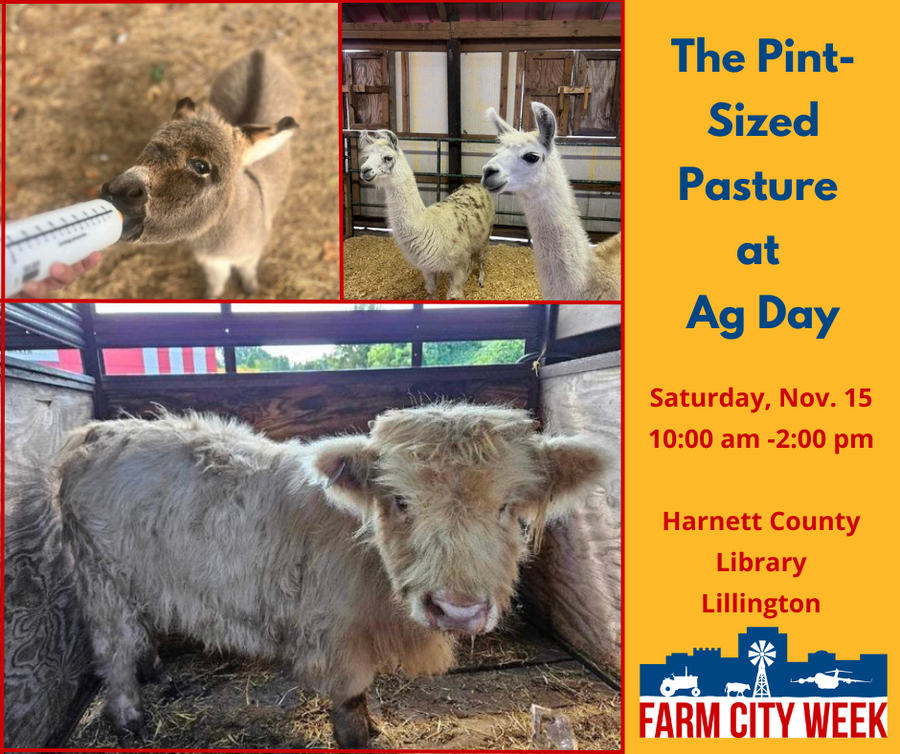 Picture of animals from the Pint-Sized Pastures that will be at Ag Day from 10:00 Am till 2:00 PM on November 15 at the Lillington Library.