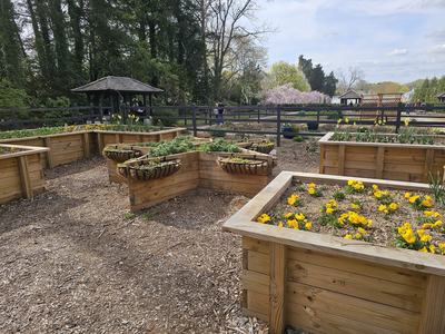 Raised Garden Beds