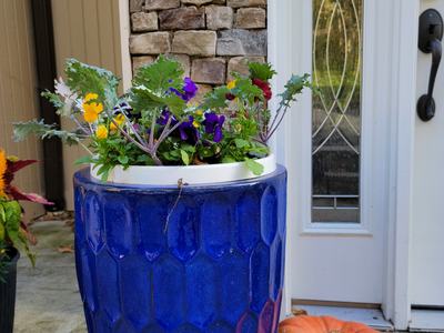 image of a blue flower pot with spring bulbs in it and a pumpkin beside sitting at the front door of a local master gardener