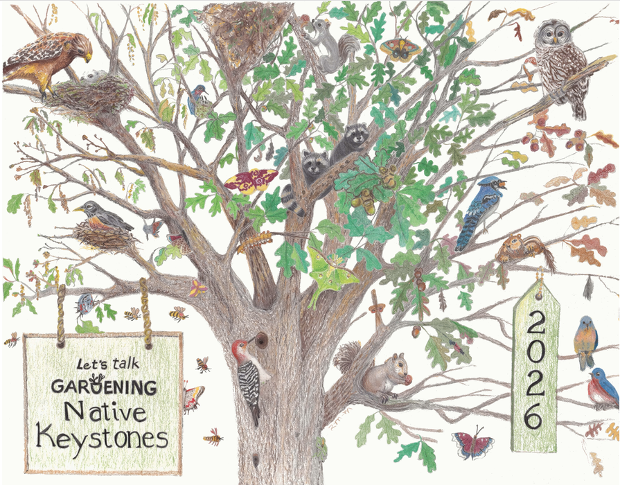 Front cover of calendar: Oak tree depicting 3 seasons; Spring, Summer, and Fall with supported birds, animals and insects.