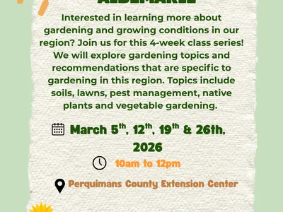 Gardening in the Albemarle Flyer