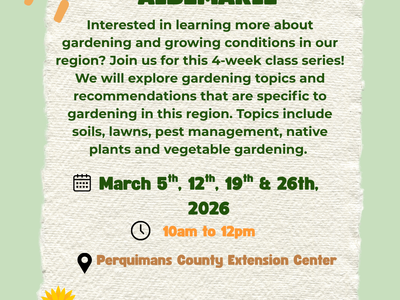 Gardening in the Albemarle Flyer