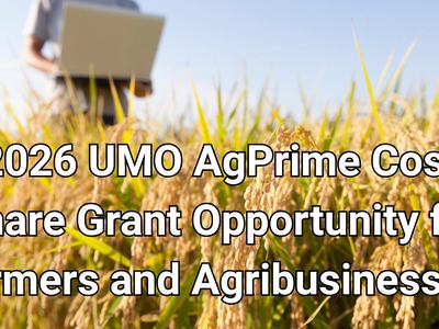 Person in field with computer