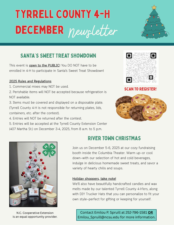 Picture of December's 4-H Newsletter