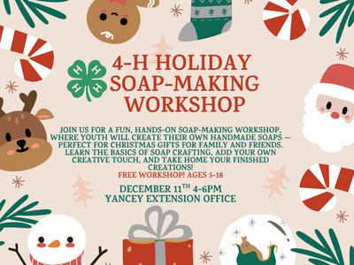 4-H Holiday Soap-Making Workshop
