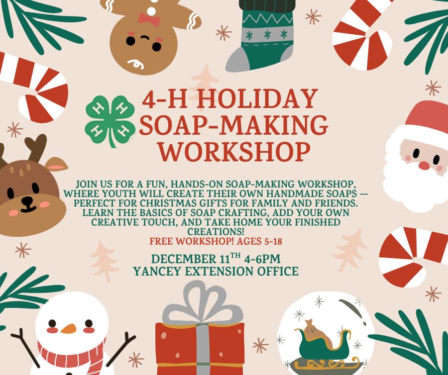 4-H Holiday Soap-Making Workshop