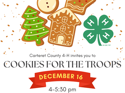 Cookies for the Troops Flyer