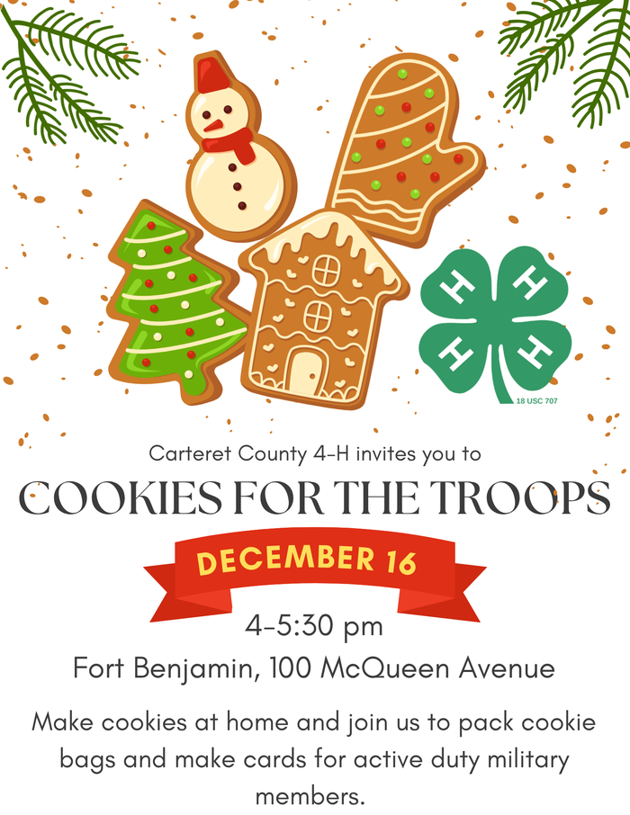 Cookies for the Troops Flyer