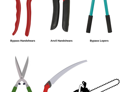 Six labeled pruning tools: Bypass, Anvil, Lopers, Shears, Pruning saw, Chainsaw