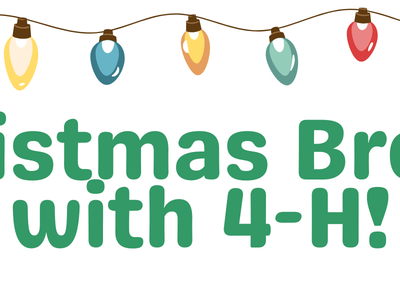 lights with the text christmas break with 4-H