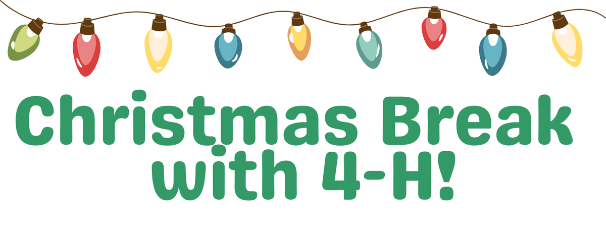 lights with the text christmas break with 4-H