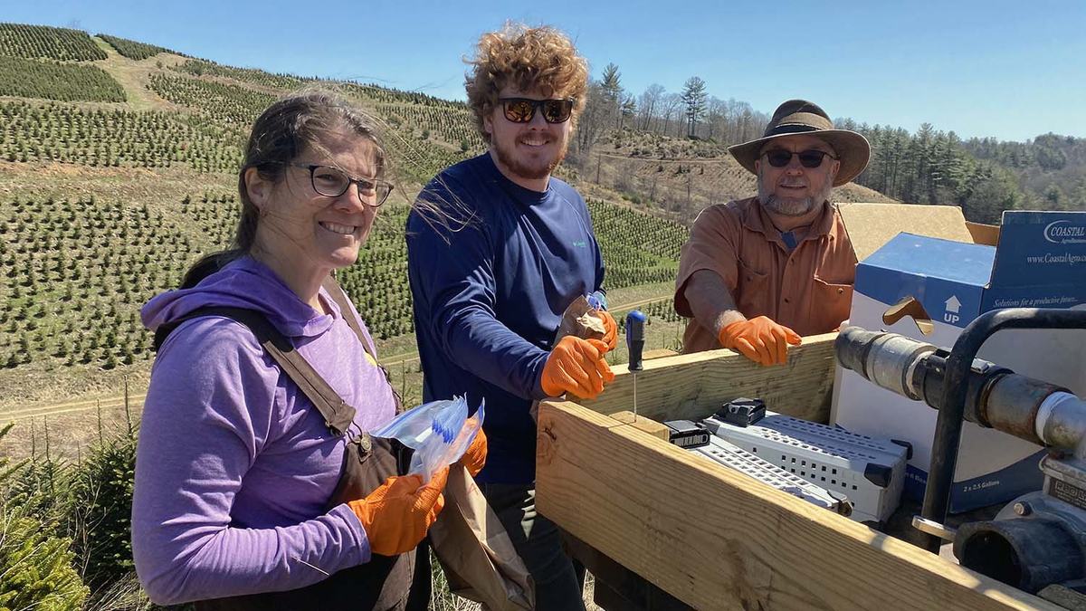 NC State Extension Christmas tree experts help growers producers and consumers Hurricane Helene