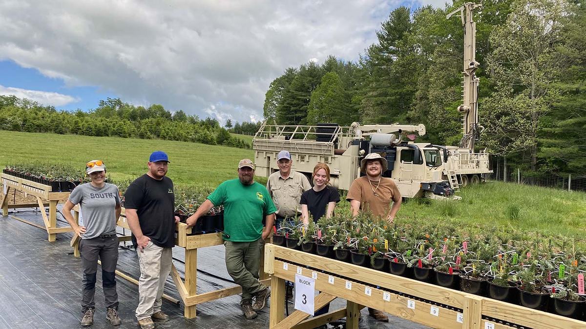 NC State Extension Christmas tree experts help growers producers and consumers Hurricane Helene